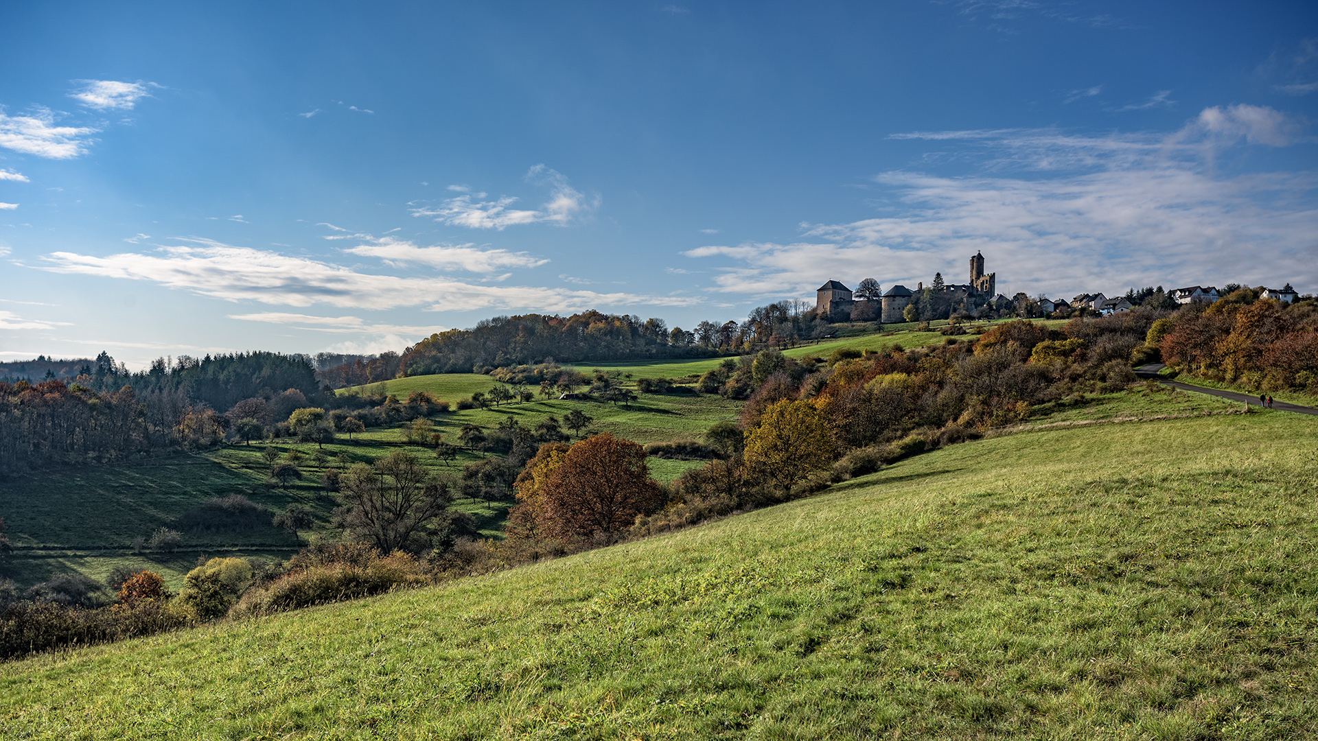 Blick auf Burg Greifenstein