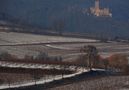 Blick auf Burg Landeck von Dietrich Benzler