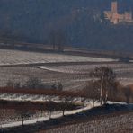 Blick auf Burg Landeck