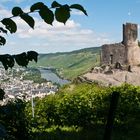 Blick auf Burg Landshut