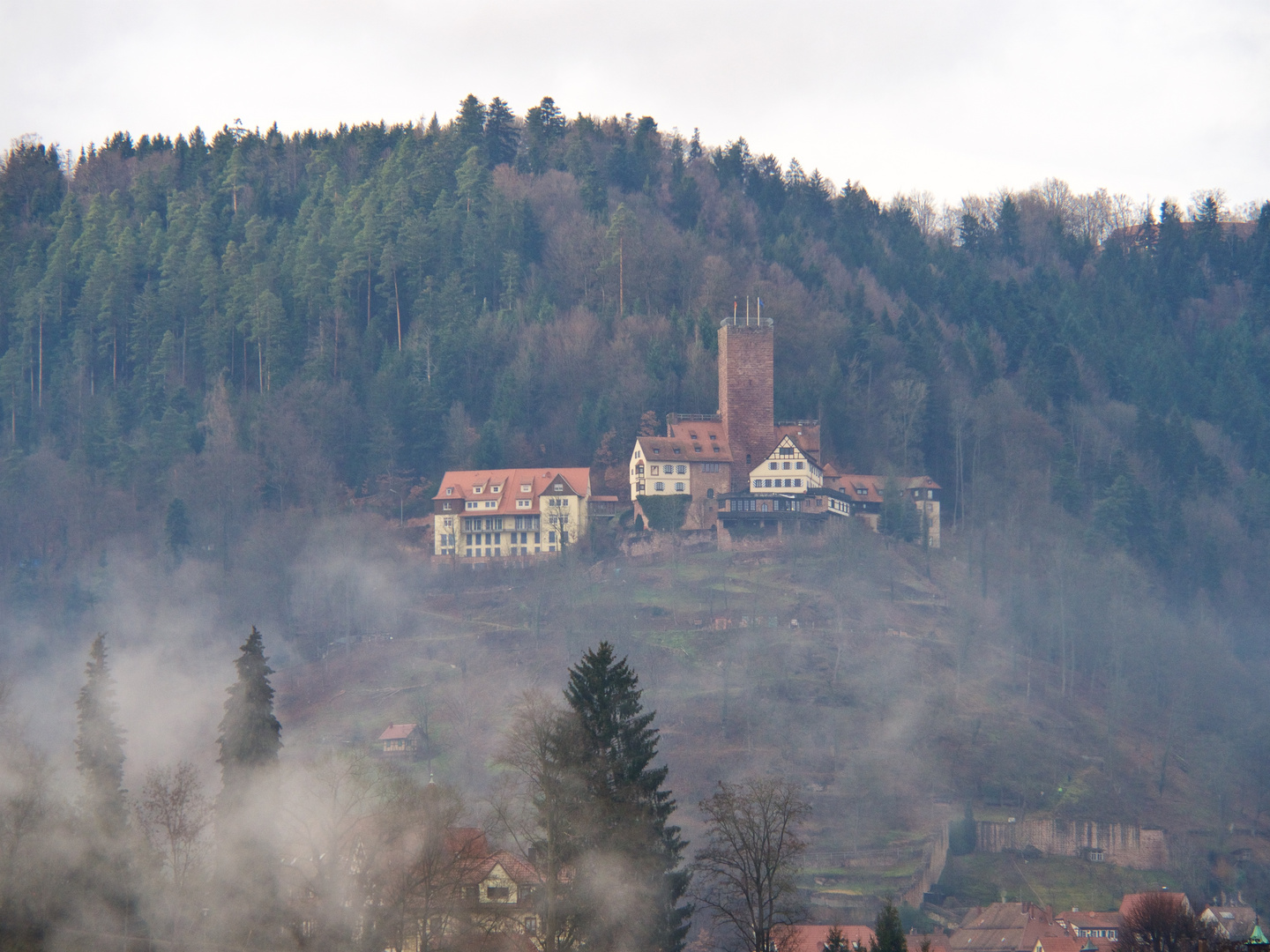 Blick auf Burg Liebenzell