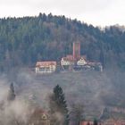 Blick auf Burg Liebenzell