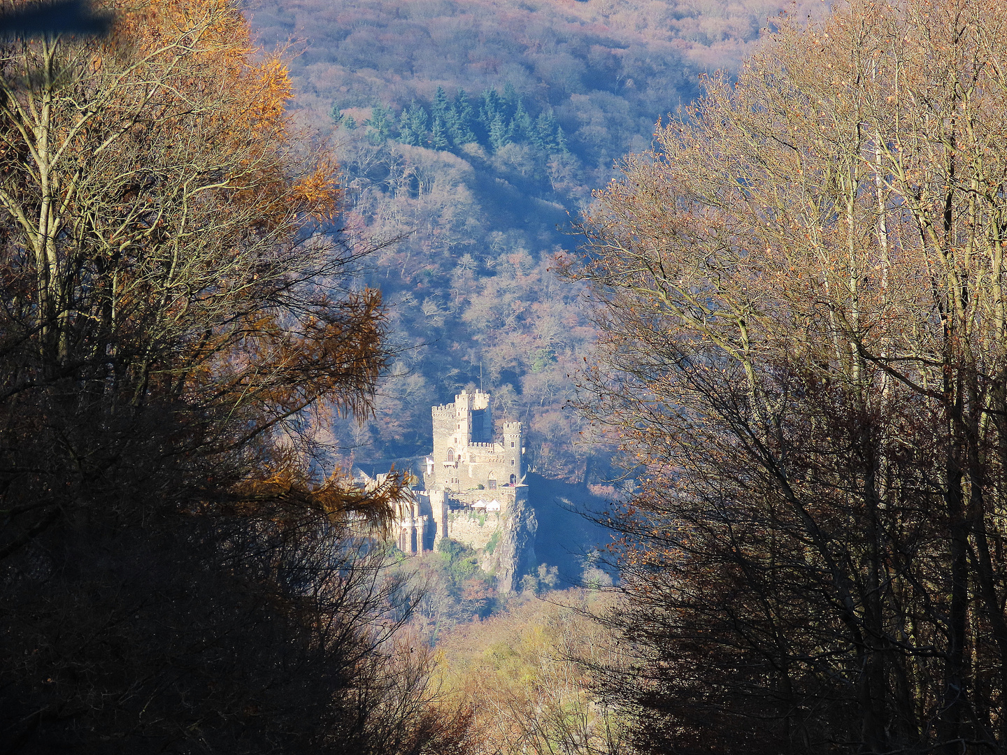 Blick auf Burg Rheinstein
