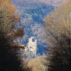 Blick auf Burg Rheinstein