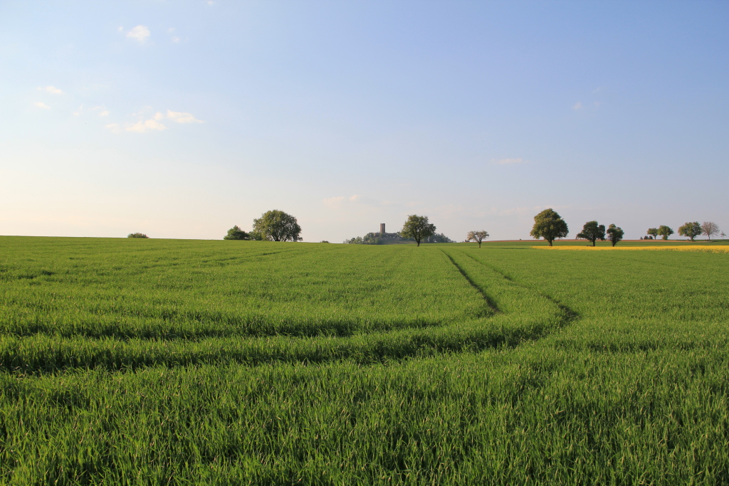 Blick auf Burg Steinsberg