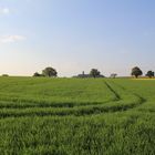 Blick auf Burg Steinsberg