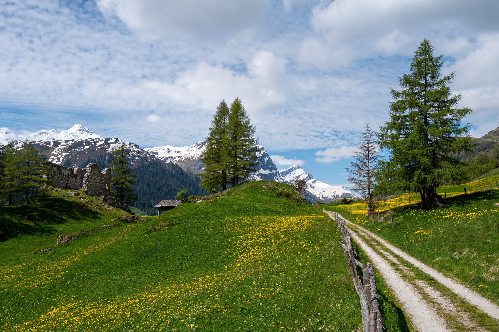 Blick auf Burg und Piz Tambo