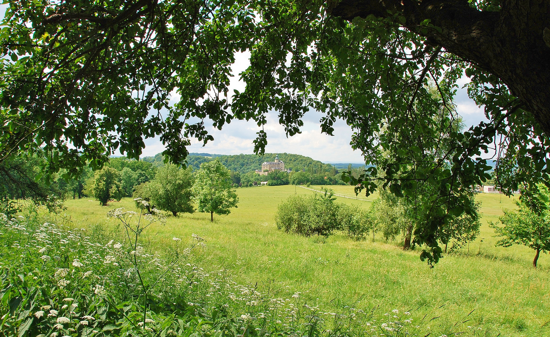 Blick auf Burg und Schloss Friedland