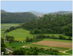  Blick auf Burgruine Neideck