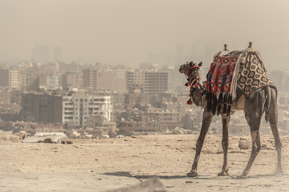 Blick auf Cairo