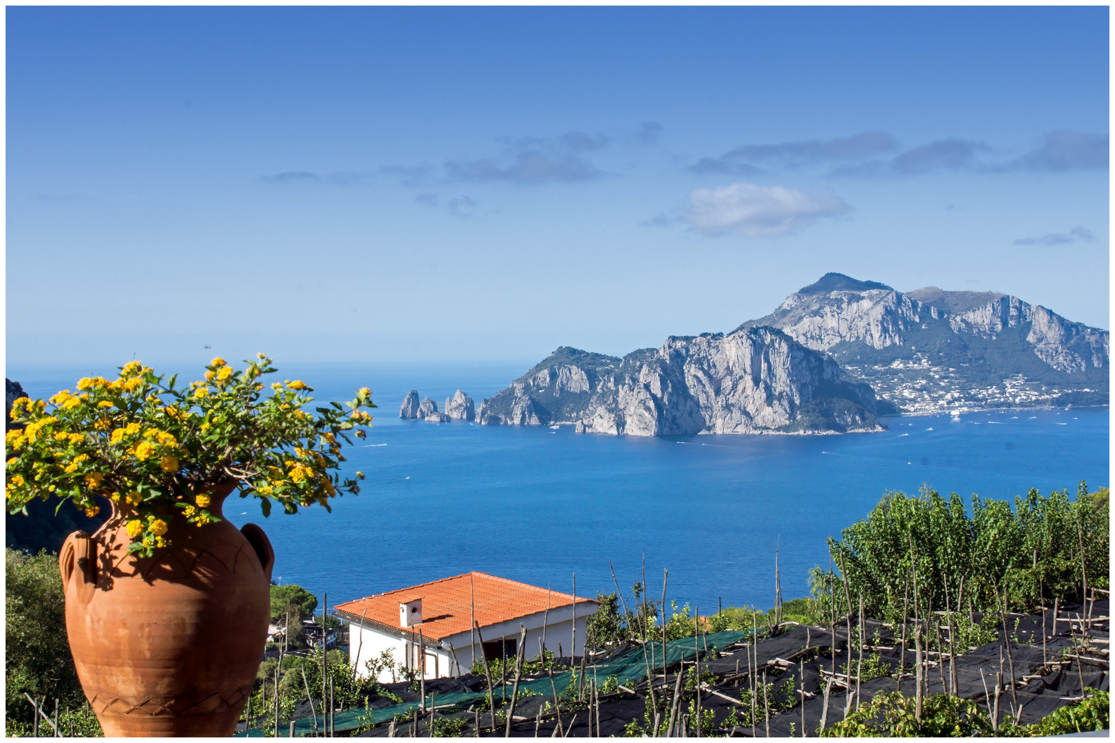 Blick auf Capri