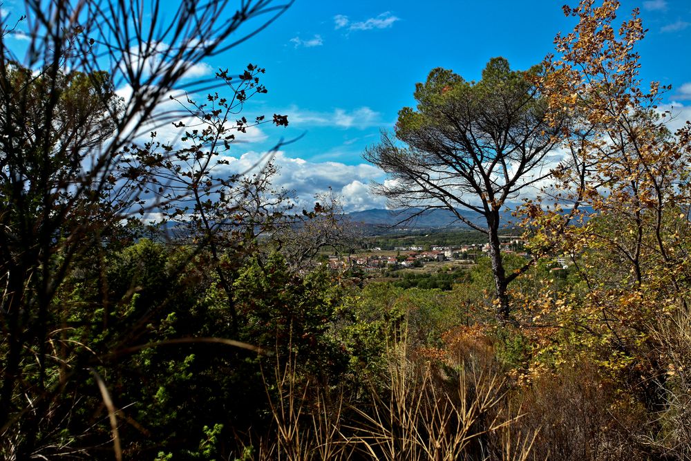 Blick auf Castiglion Fibocchi