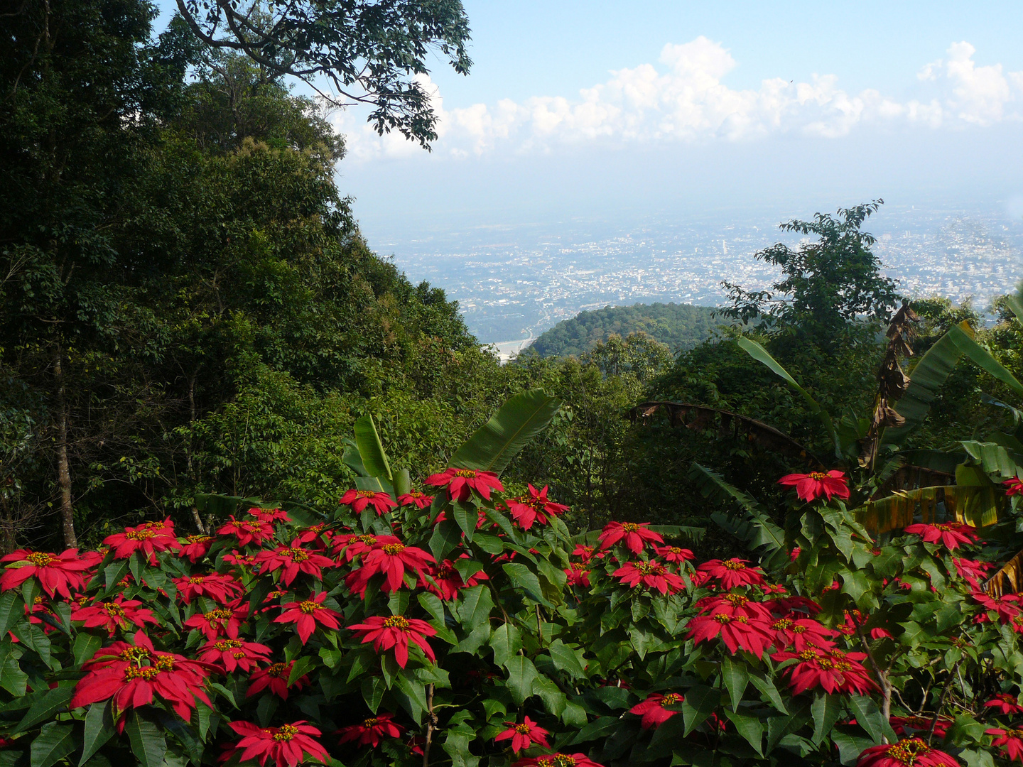 Blick auf Chiang Mai