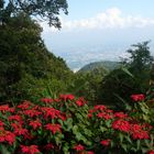 Blick auf Chiang Mai