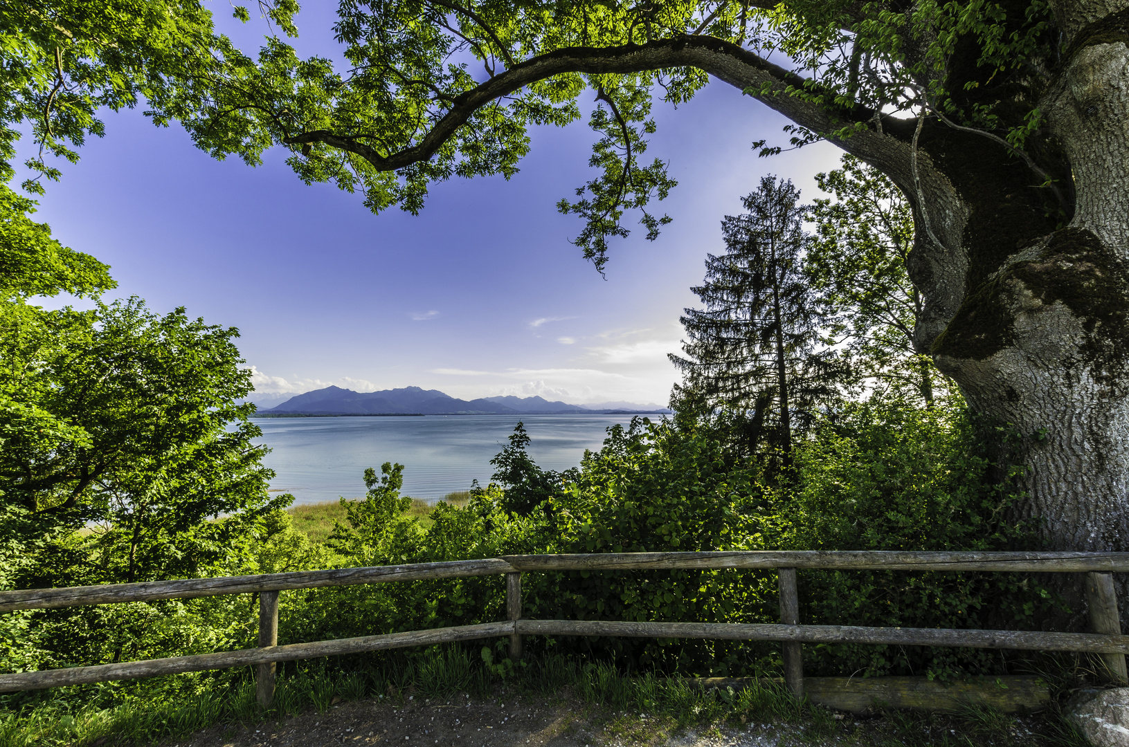 Blick auf Chiemsee