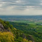 Blick auf Château du Girsberg