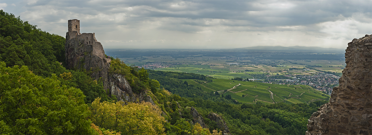 Blick auf Château du Girsberg