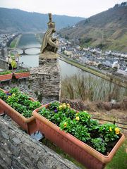 Blick auf Cochem