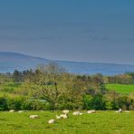 Blick auf Connors Island