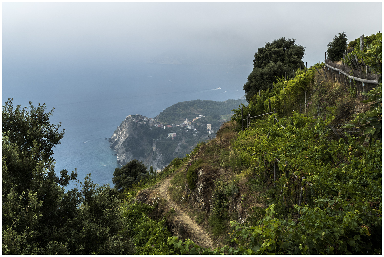 Blick auf Corniglia