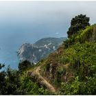 Blick auf Corniglia