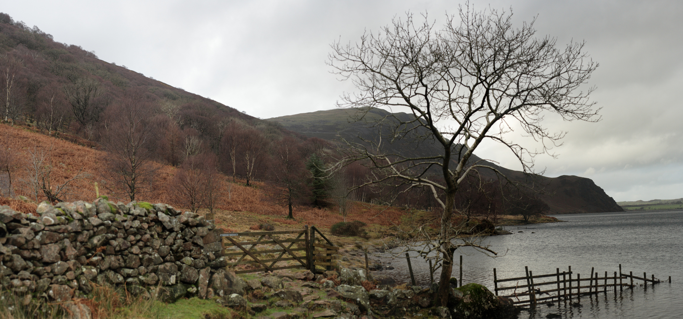 Blick auf Crag Fell, Anglers Crag (robin hood's chair) und das Ennerdale Water