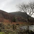 Blick auf Crag Fell, Anglers Crag (robin hood's chair) und das Ennerdale Water