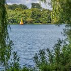 Blick auf das andere Ufer II - Maschsee/Hannover