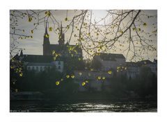 Blick auf das Basler Münster