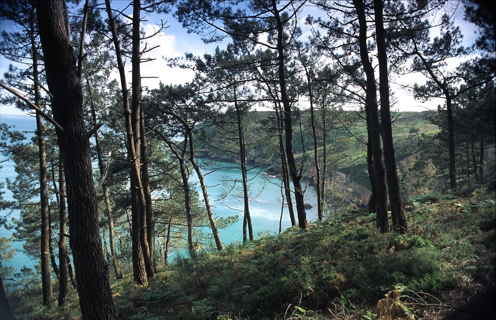 Blick auf das Cap de la Chèvre