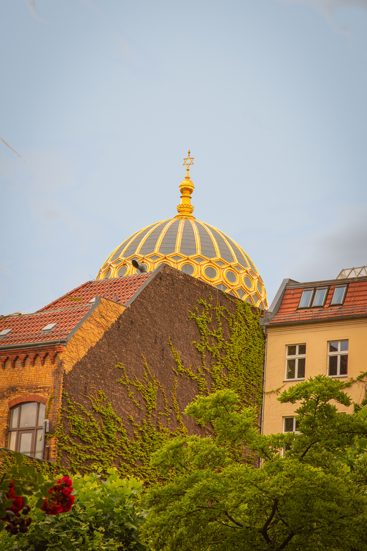 Blick auf das Dach der Synagoge