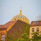 Blick auf das Dach der Synagoge