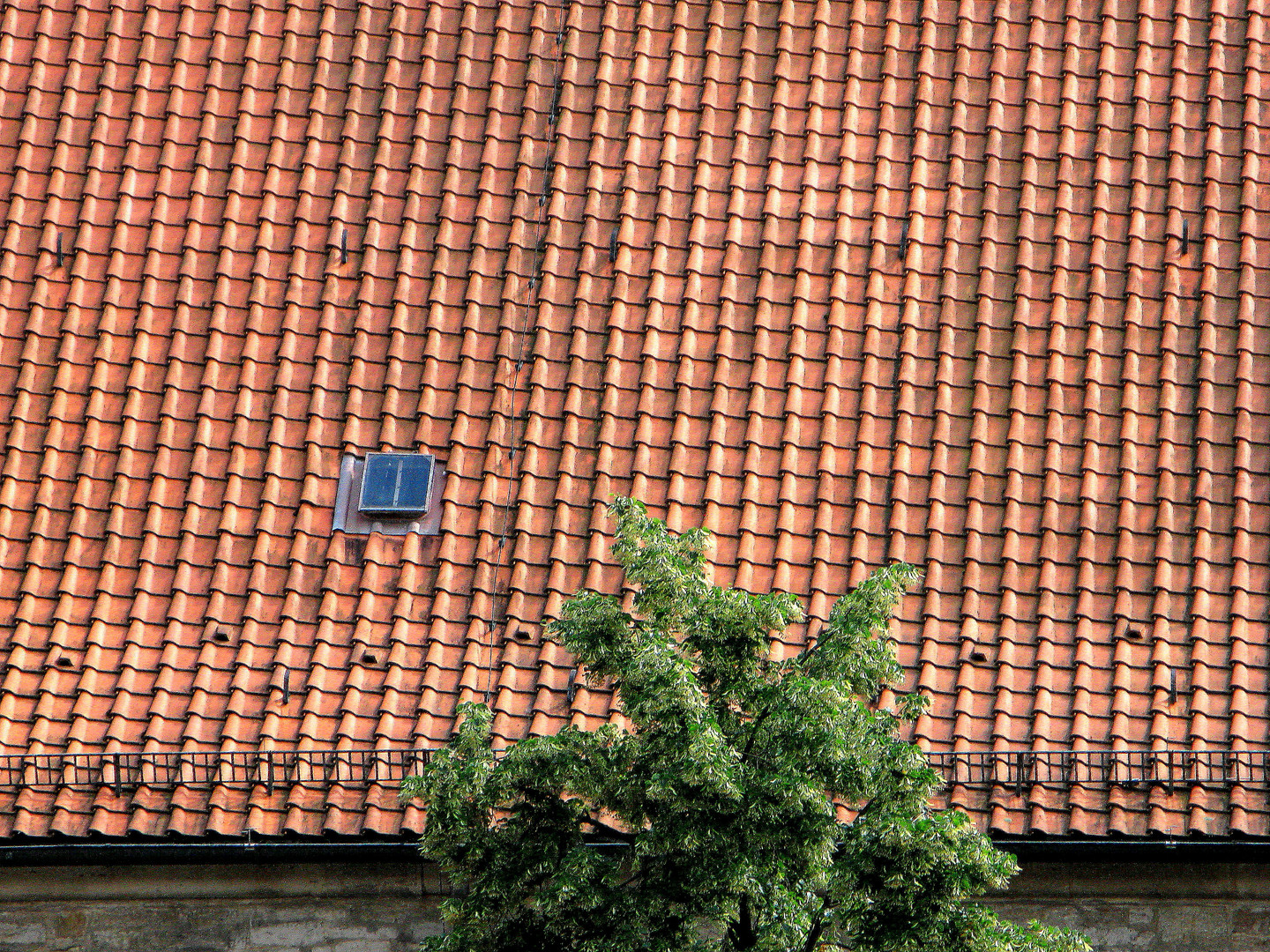 Blick auf das Dach des Gewandhauses am Altstadtmarkt in Braunschweig (13. Juli 2009)