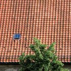 Blick auf das Dach des Gewandhauses am Altstadtmarkt in Braunschweig (13. Juli 2009)