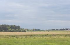 Blick auf das Dorf Hammelspring/Uckermark