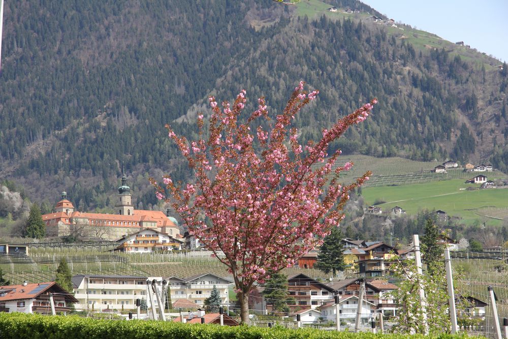 Blick auf das Dorf Tirol