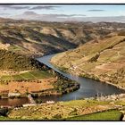 Blick auf das Douro-Tal