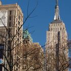 Blick auf das Empire State Building vom "Madison Square Park" aus gesehen