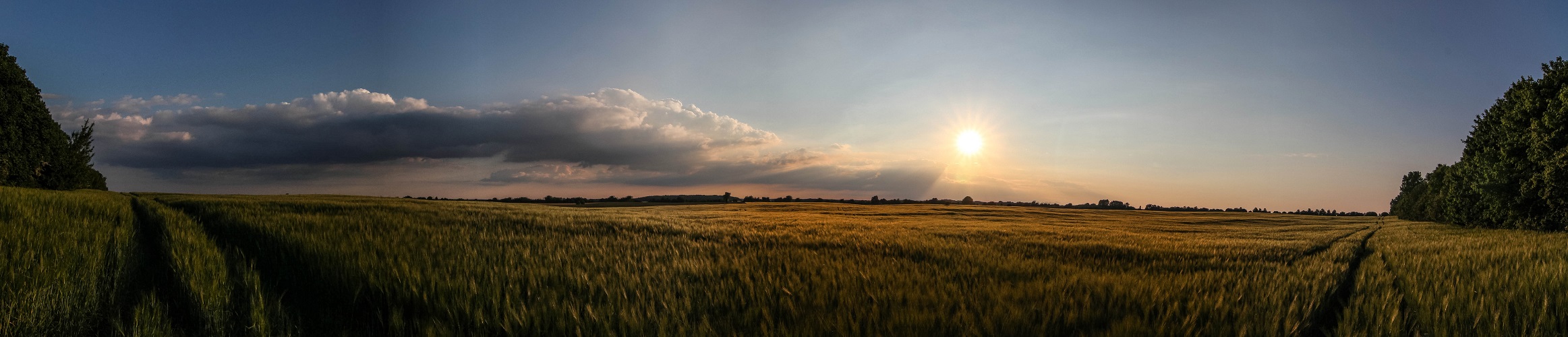 Blick auf das Feld ...