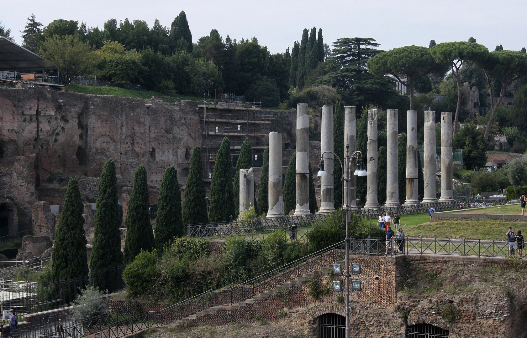 Blick auf das Forum Romanum