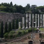 Blick auf das Forum Romanum