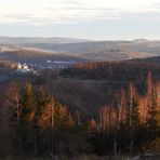 Blick auf das frühe Siegerland