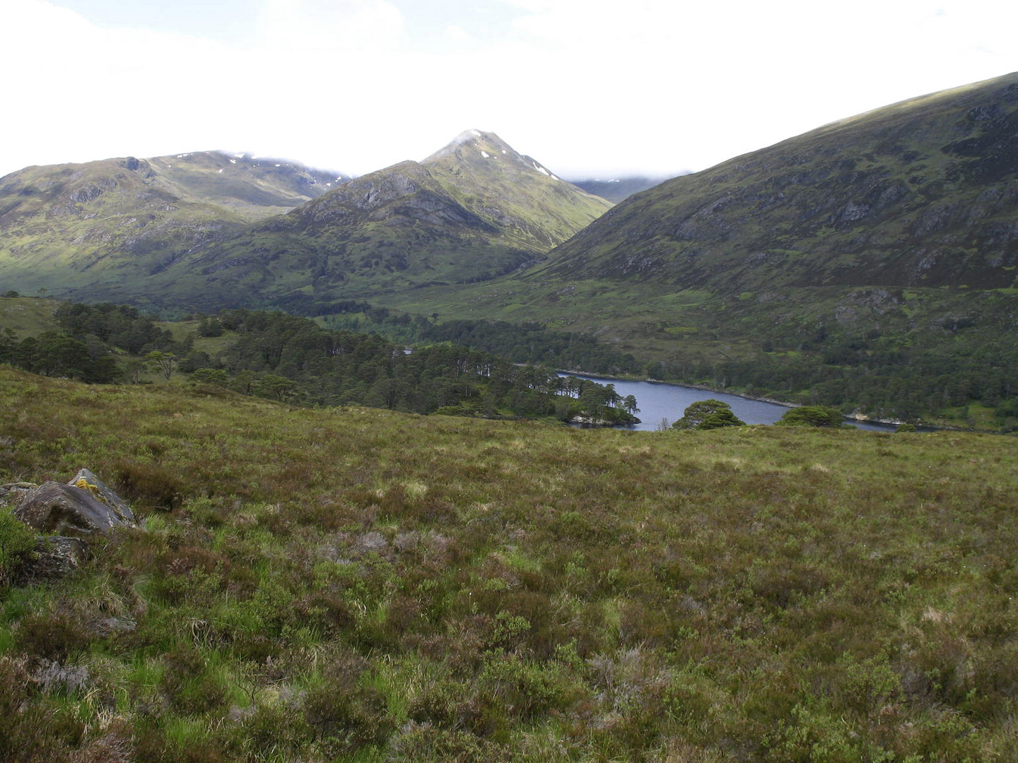 Blick auf das Glen Affric