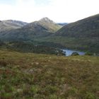 Blick auf das Glen Affric