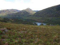 Blick auf das Glen Affric