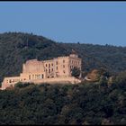 Blick auf das Hambacher Schloss