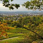 Blick auf das herbstliche Heilbronn