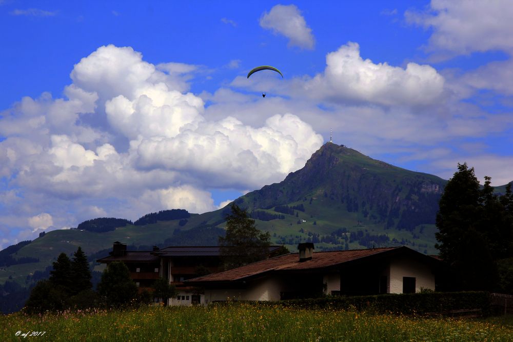 Blick auf das Kitzbüheler Horn