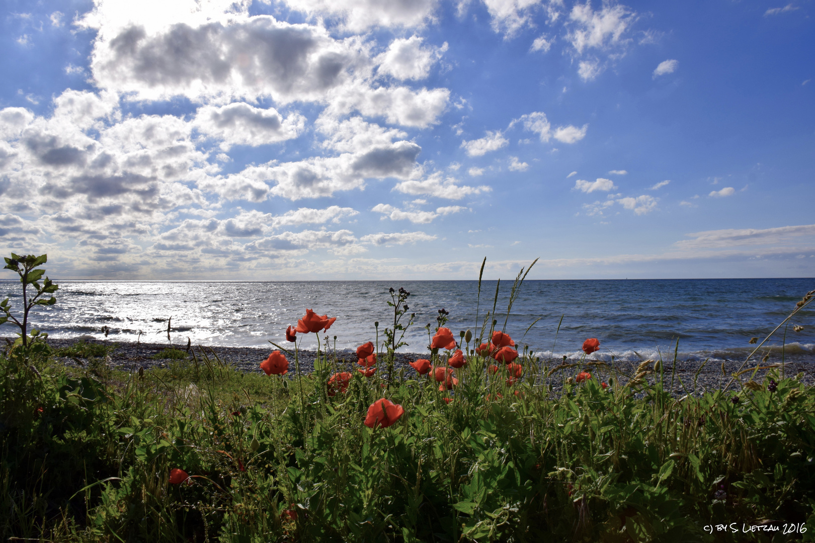 Blick auf das Meer