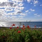 Blick auf das Meer